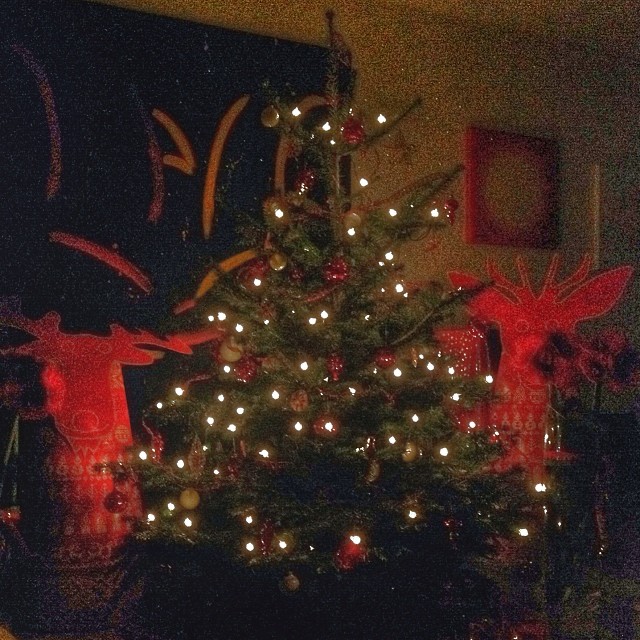 Our christmastree by night