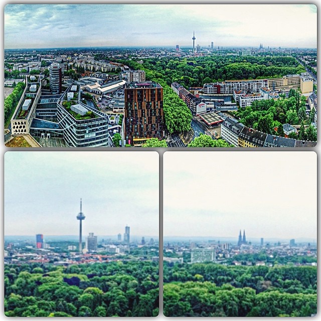 Panorama and Collage