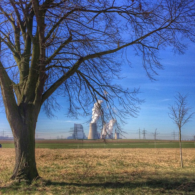 Blue Sky, tree and RWE-Power
