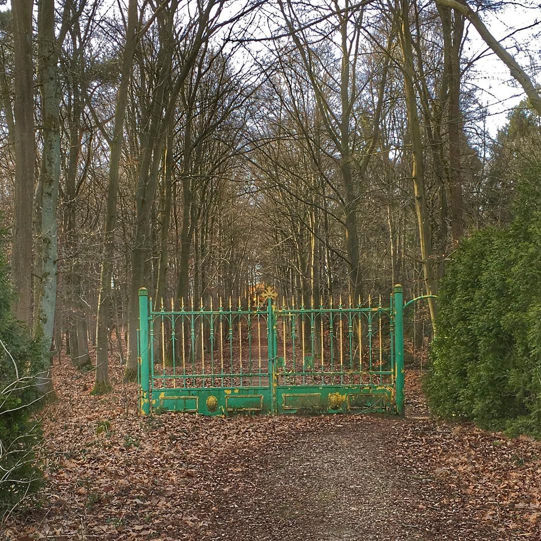 Garden gate in the forest