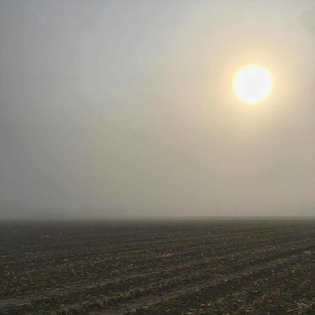 Fog and sun