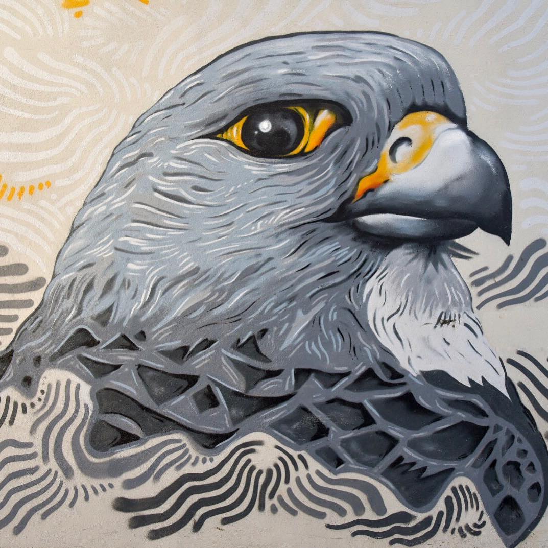 Memories- A bird as a work of art on a house wall in Reykjavík