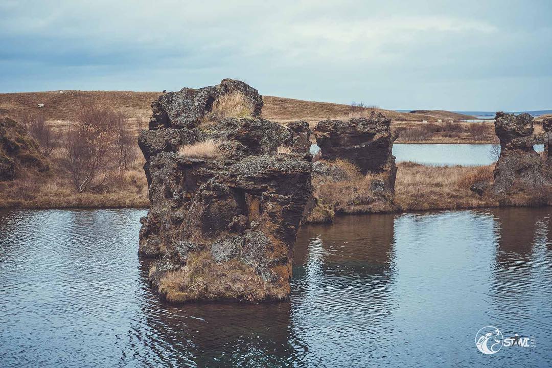 Rocks in the water #iceland?? #nikond750?