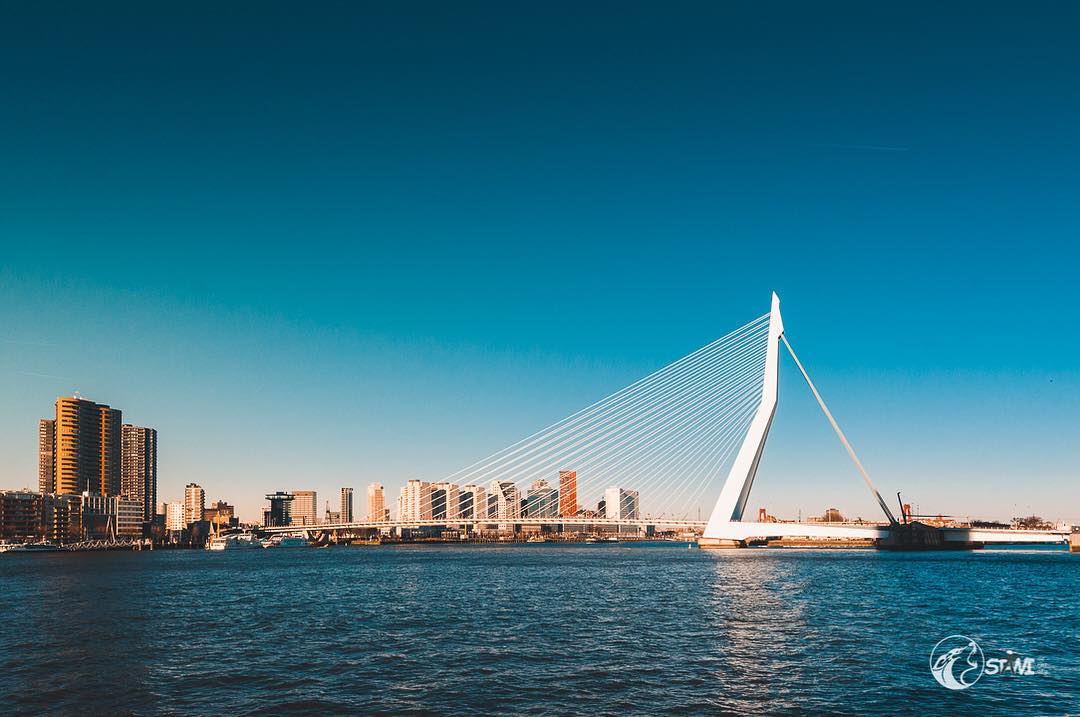 Erasmus Bridge Rotterdam #netherlands?? #nikond750?