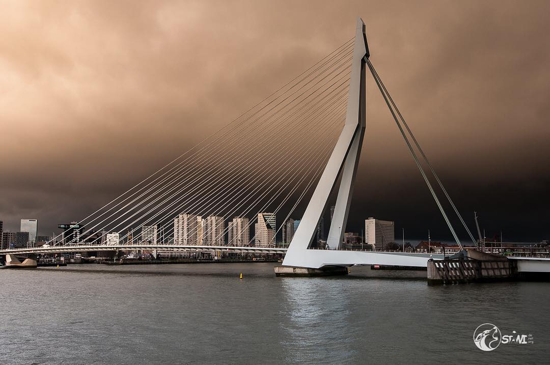 Erasmus Bridge Rotterdam #netherlands?? #nikond750?