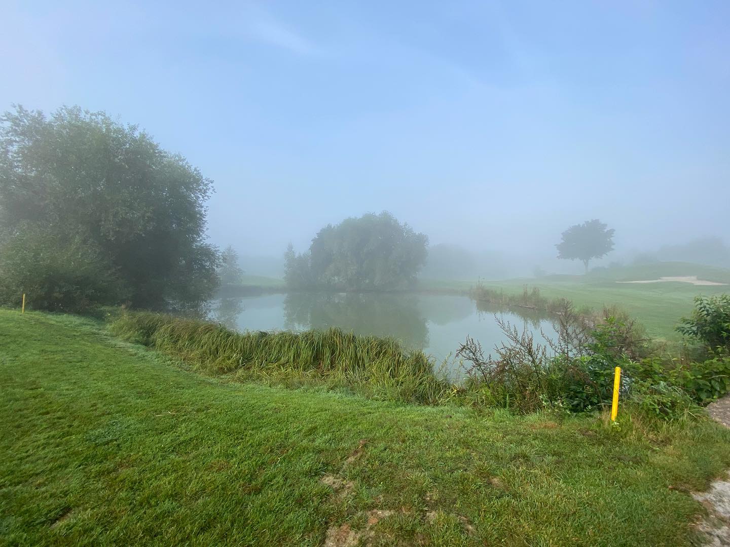 Samstag Beschäftigung - vom Nebel in die Sonne