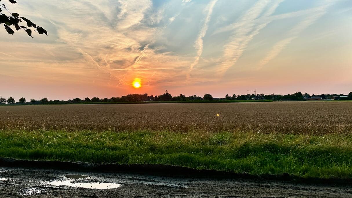 Abendrunde mit dem Mountainbike